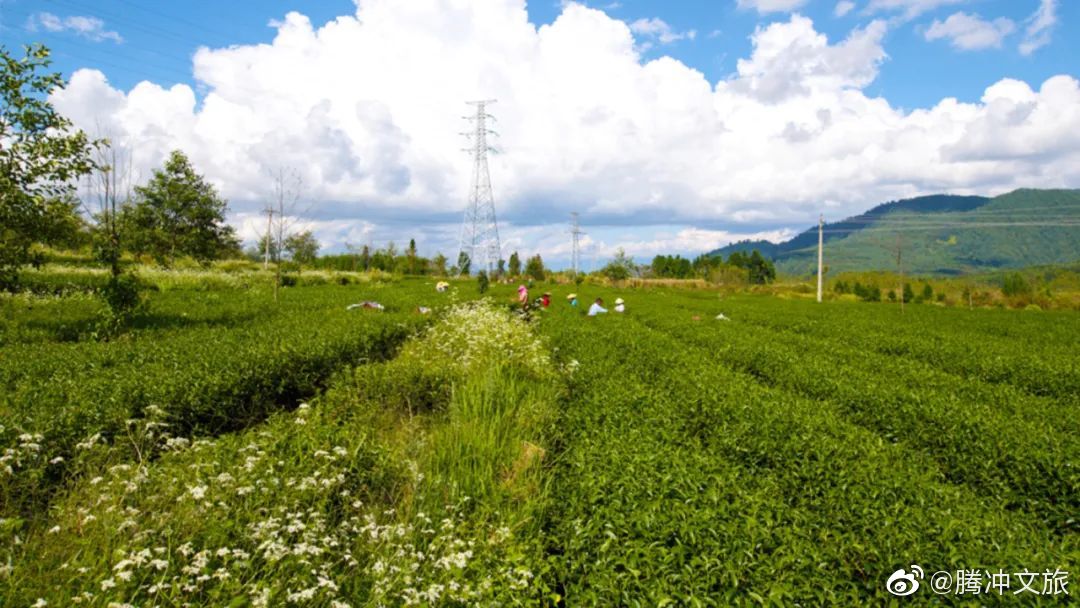 腾冲文旅微博