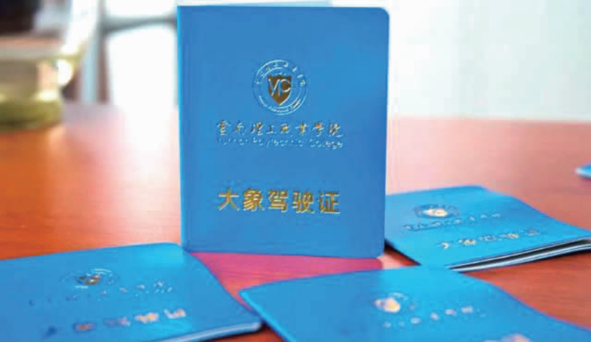掌上春城(微信)