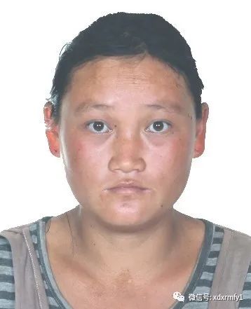 掌上春城(微信)