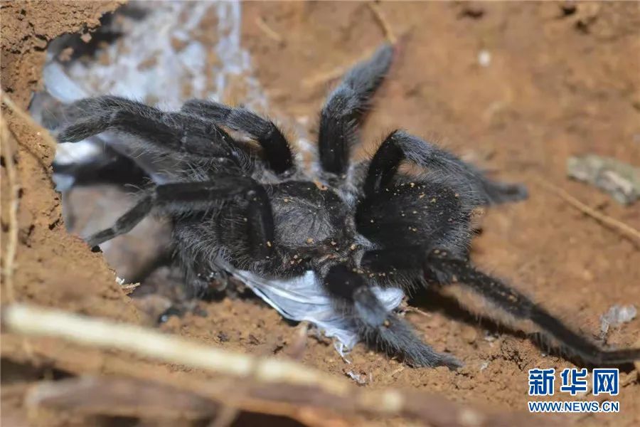 云南广播电视台(微信)