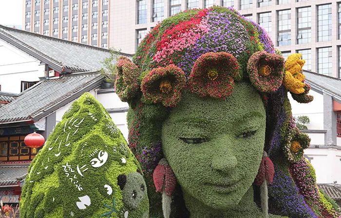 春城晚报(微信)