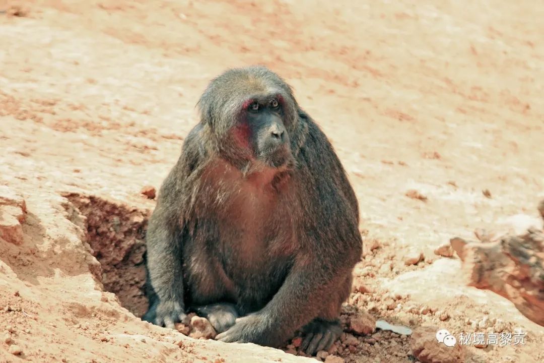 云南广播电视台(微信)