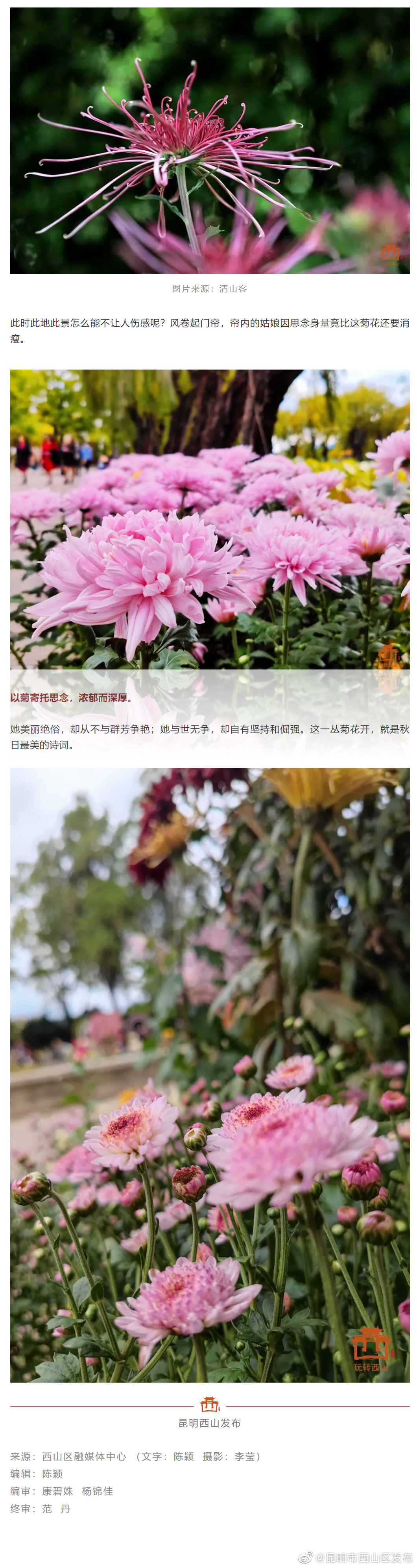 “昆明市西山区发布”微博
