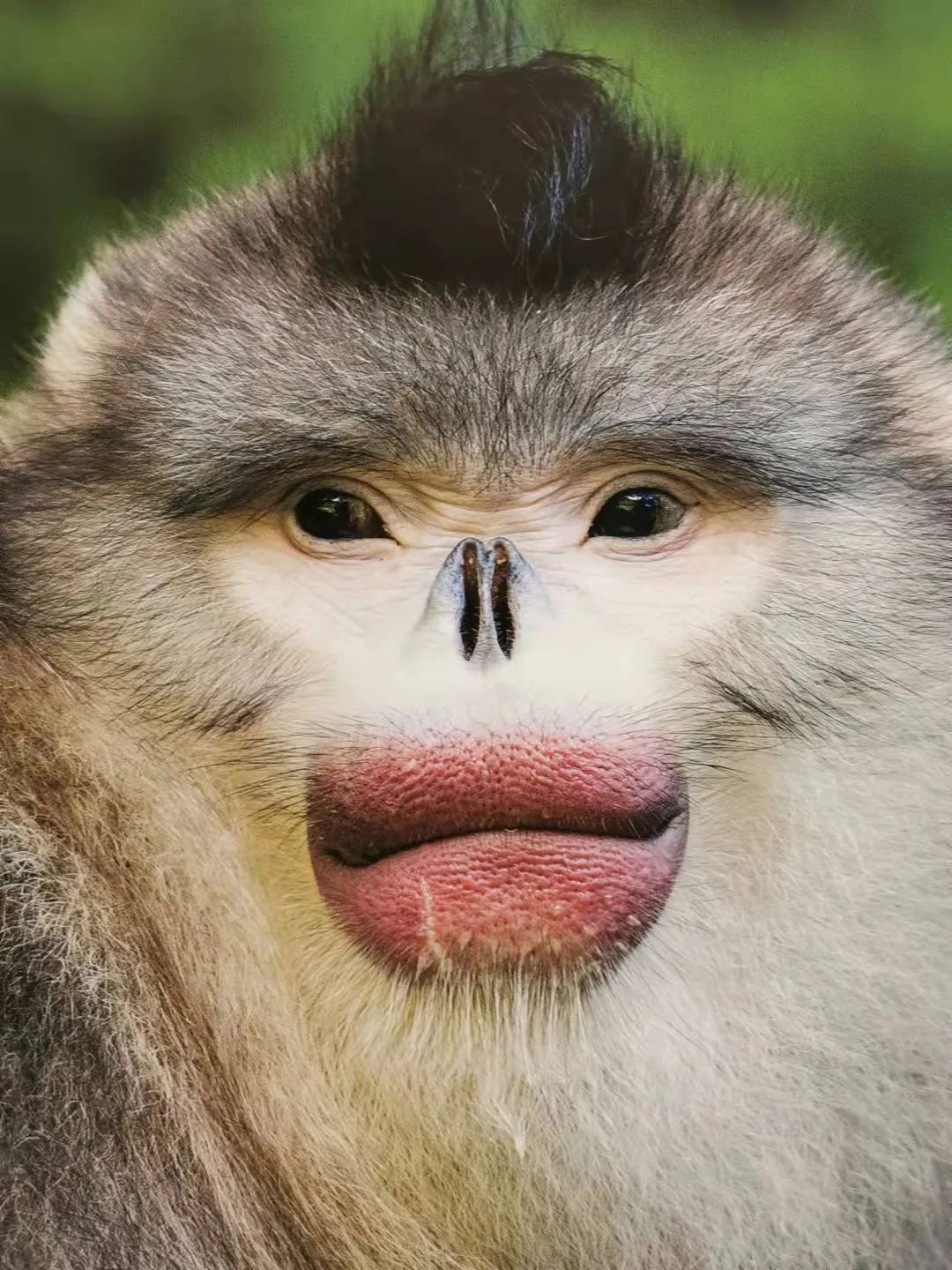 丽江日报(微信)