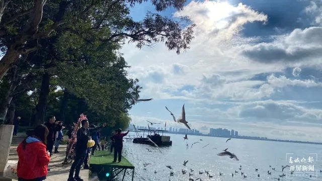 昆明滇池国家旅游度假区管理委员会(微信)