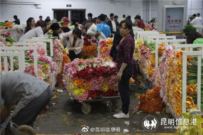 昆明信息港微博