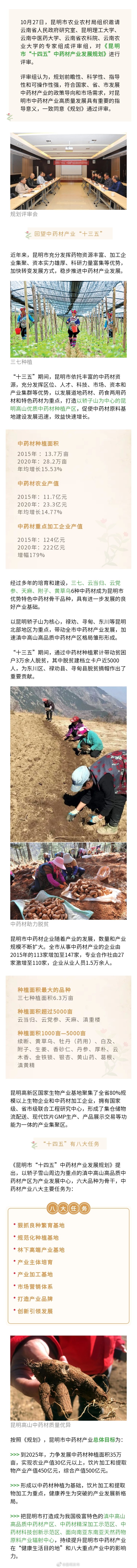 综合产值500亿元！“十四五”昆明中药材产业将有新目标