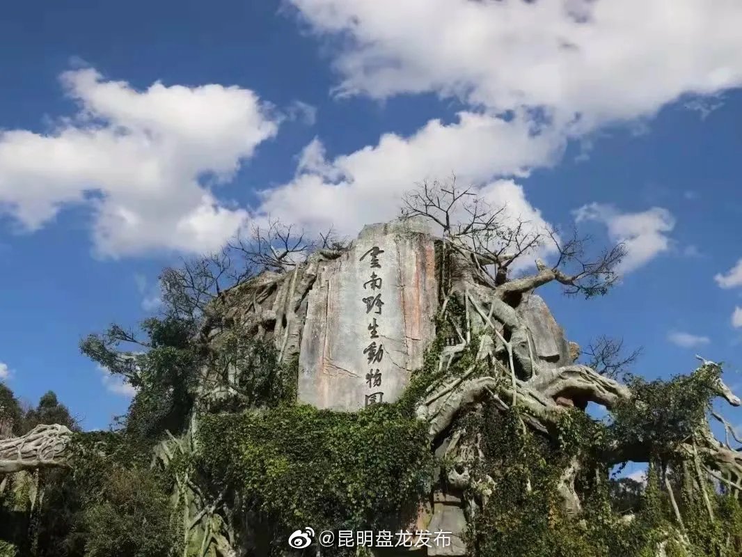 昆明盘龙发布