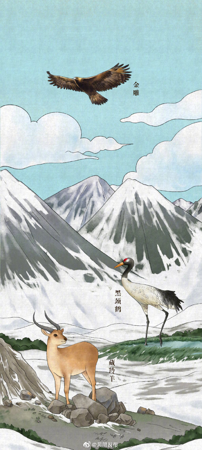 “昆明发布”微博