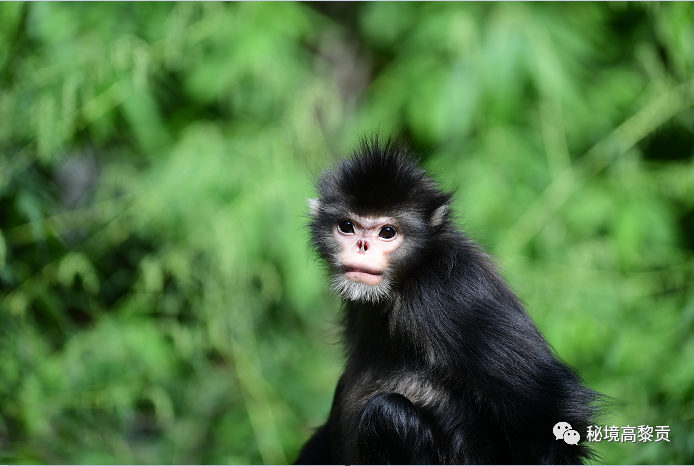 云南广播电视台(微信)