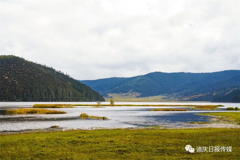 迪庆日报传媒(微信)