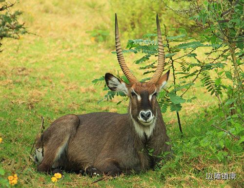 云南广播电视台(微信)