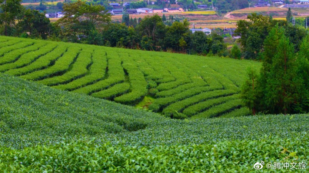 腾冲文旅微博