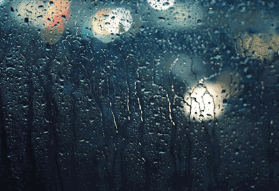 春城晚报(微信)