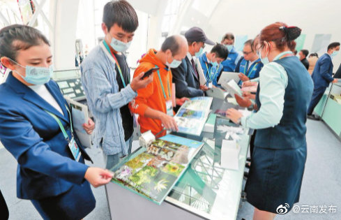 COP15主题系列产品热销