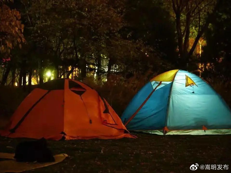 嵩明发布