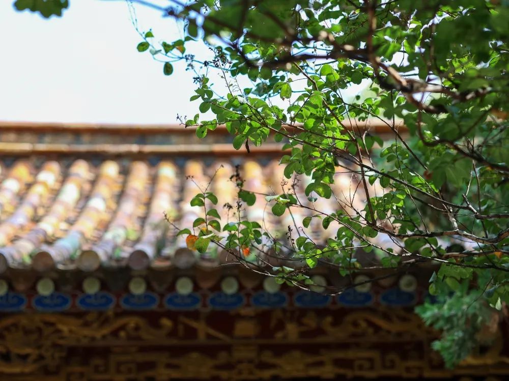 红河文旅(微信)