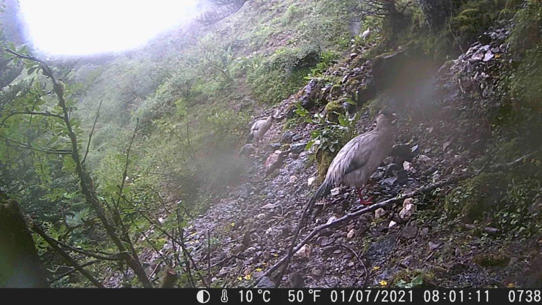 丽江日报(微信)