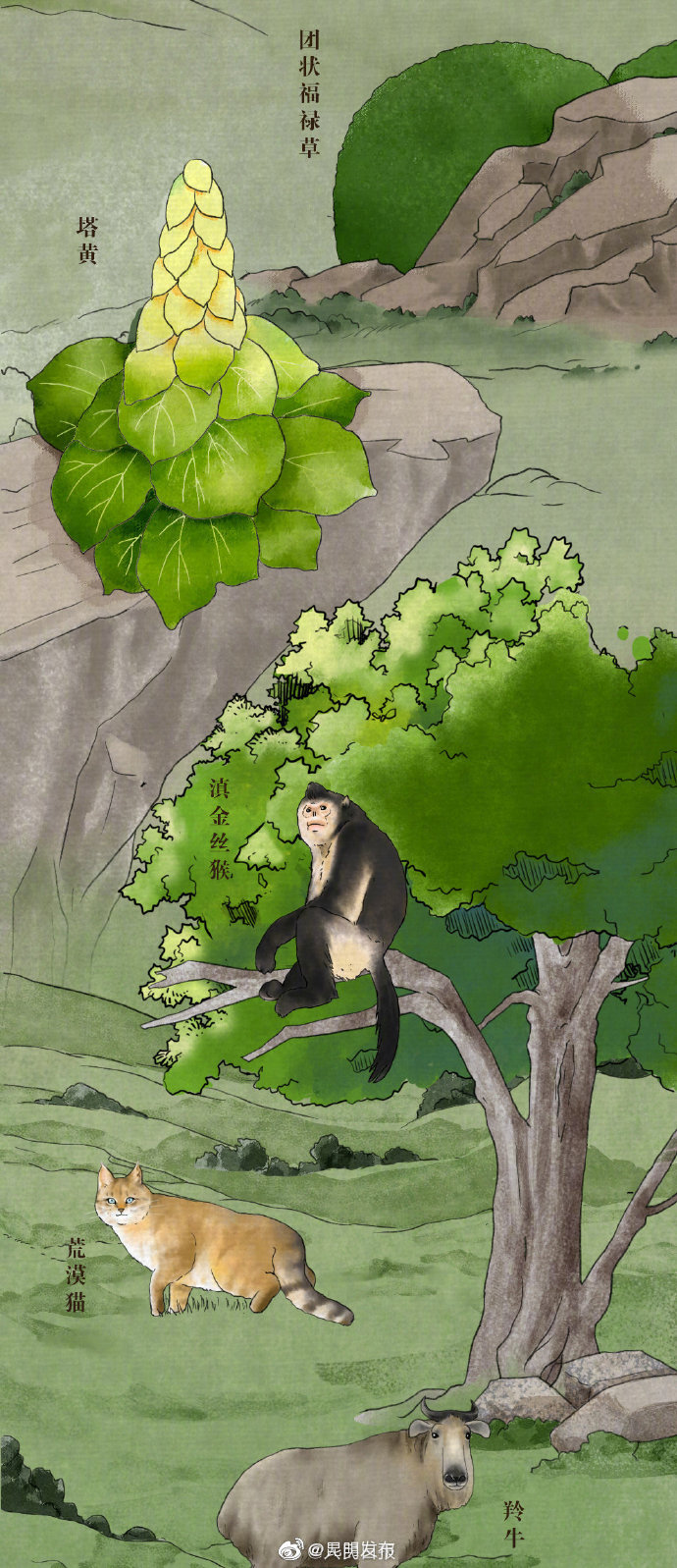 “昆明发布”微博