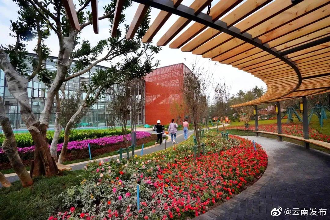 “云南发布”微博