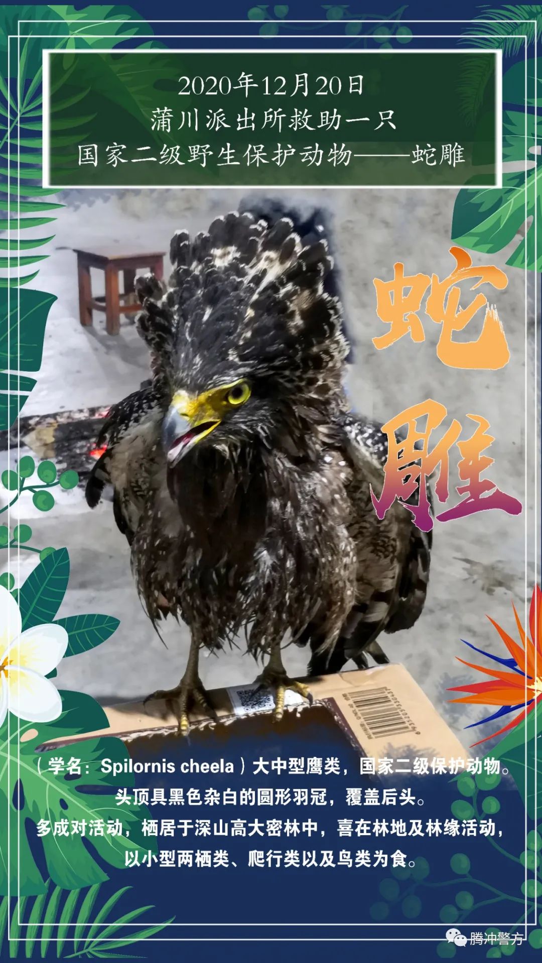保山新闻网(微信)