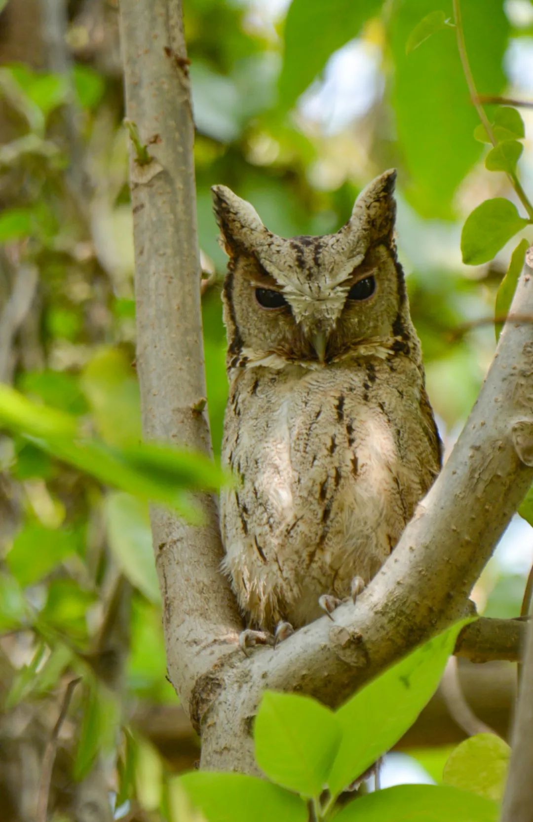 云南广播电视台(微信)