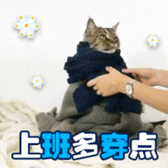 掌上春城(微信)