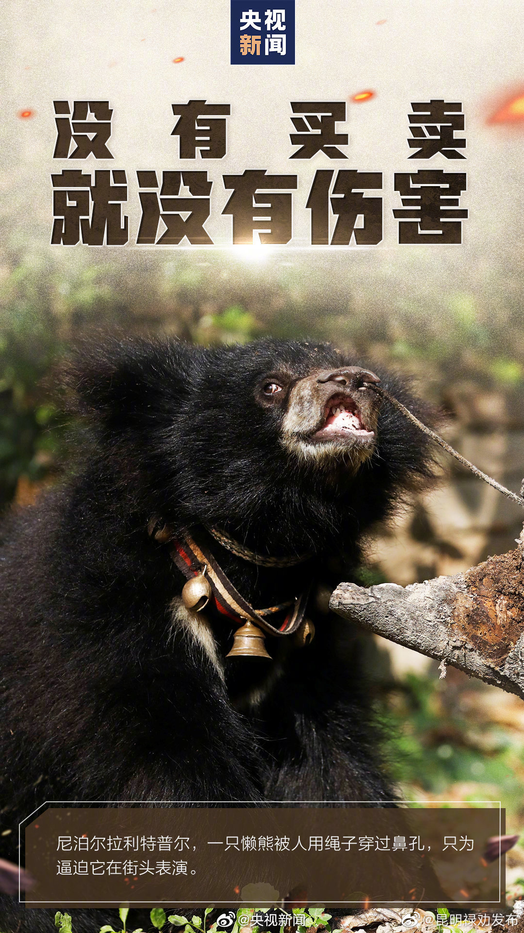 昆明禄劝发布