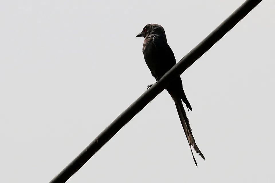 云南广播电视台(微信)