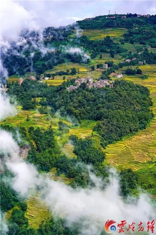 云岭先峰(微信)