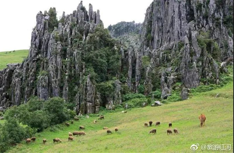红河文旅(微信)