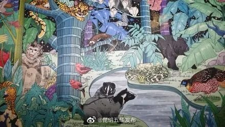 “昆明五华发布”微博