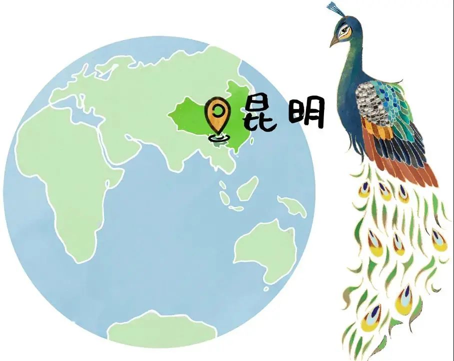 云南野生动物园(微信)