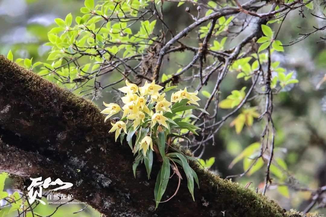 云南广播电视台(微信)