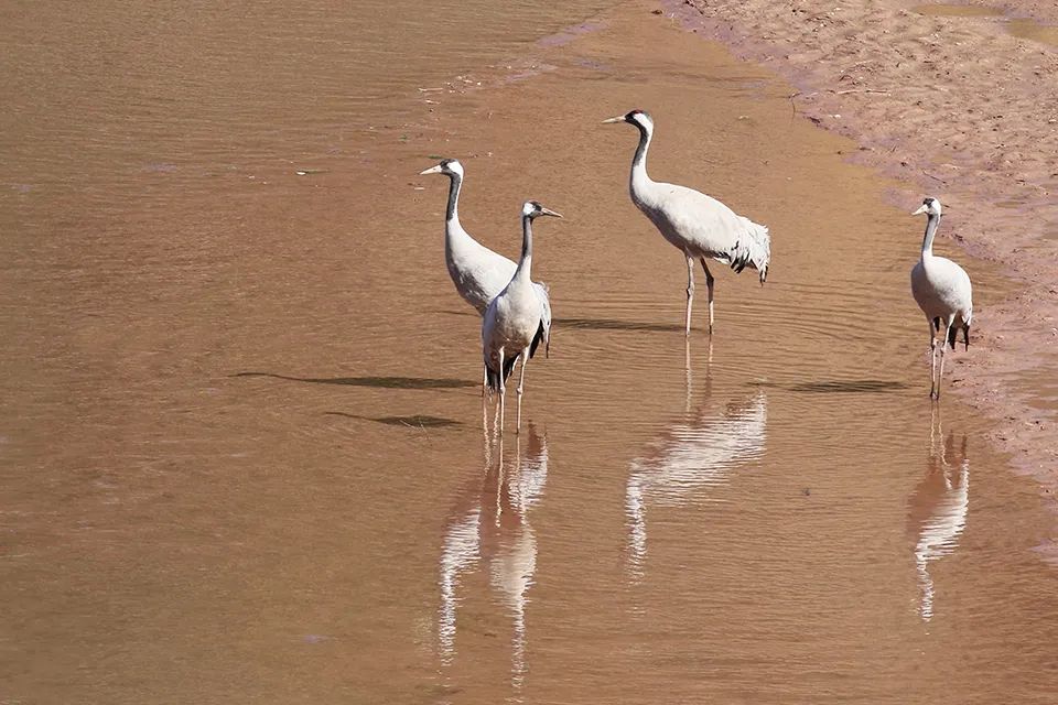 云南广播电视台(微信)