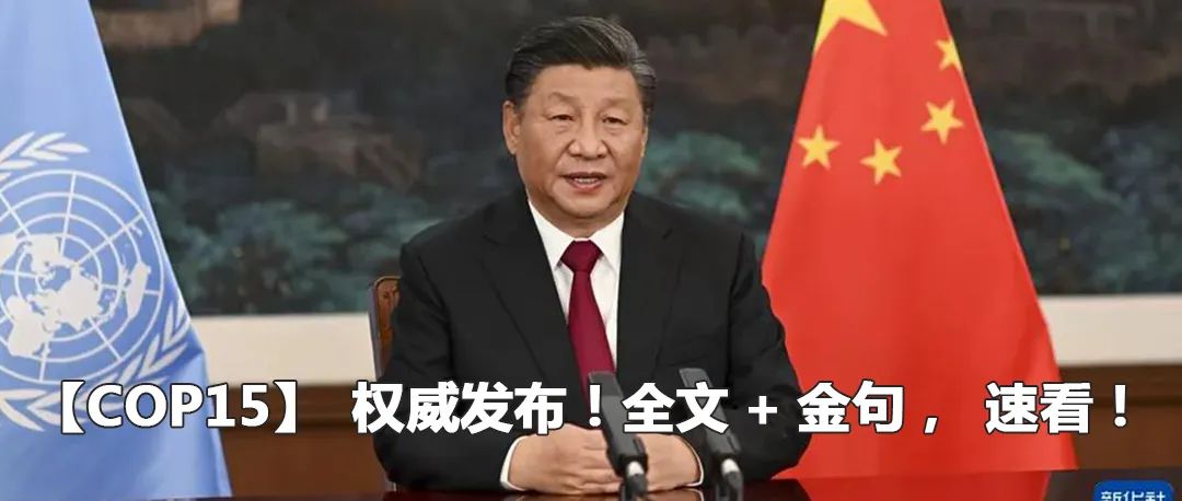 云南政法(微信)