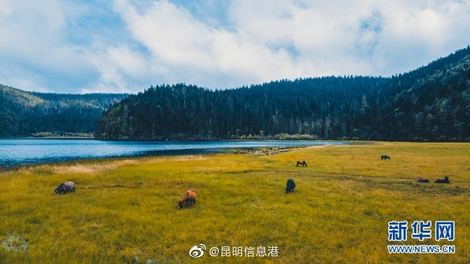 昆明信息港微博