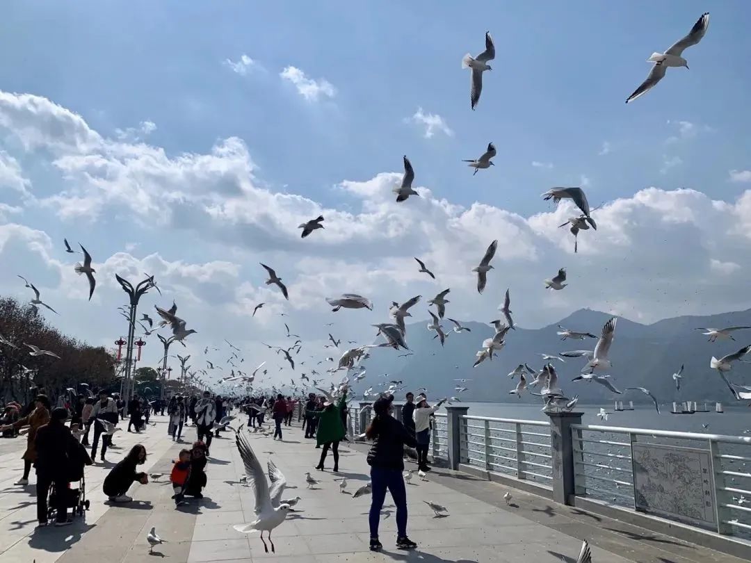 昆明铁路(微信)