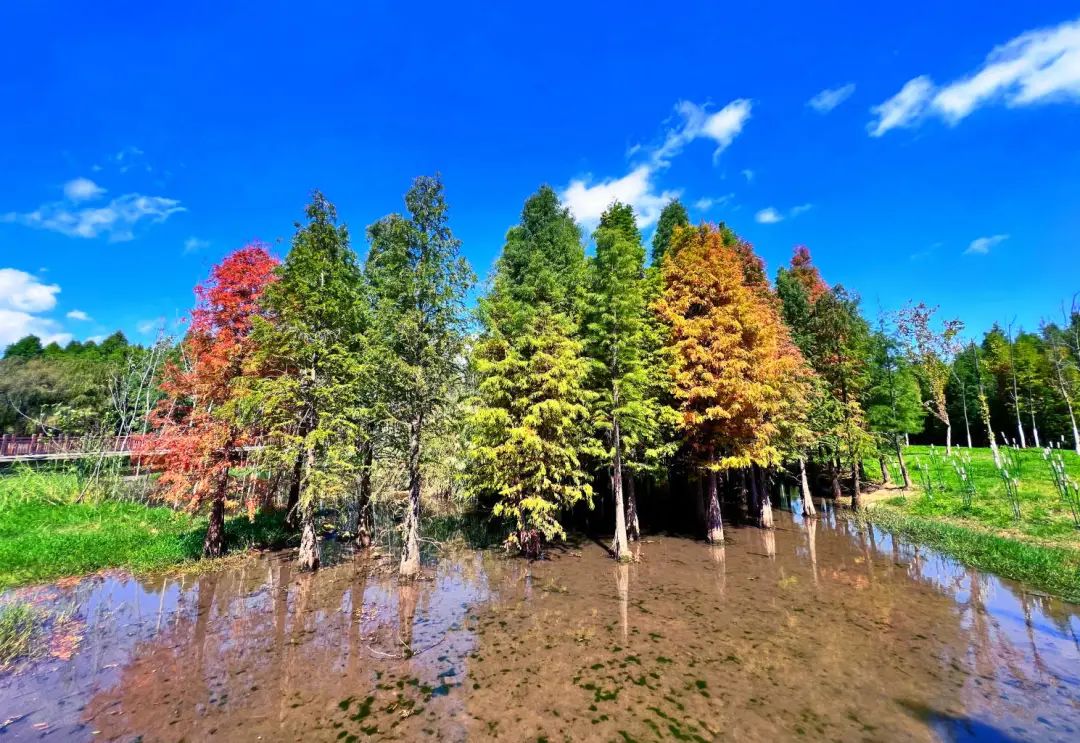 昆明滇池国家旅游度假区管理委员会(微信)