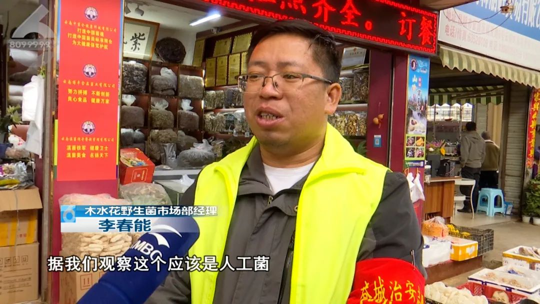 春城晚报(微信)
