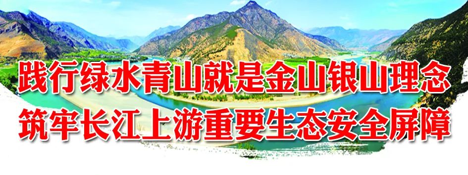 丽江日报(微信)