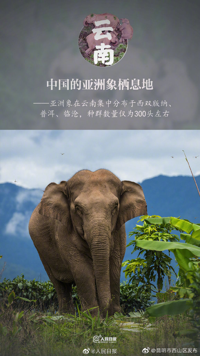 “昆明市西山区发布”微博