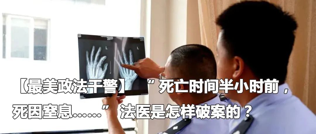 云南政法(微信)