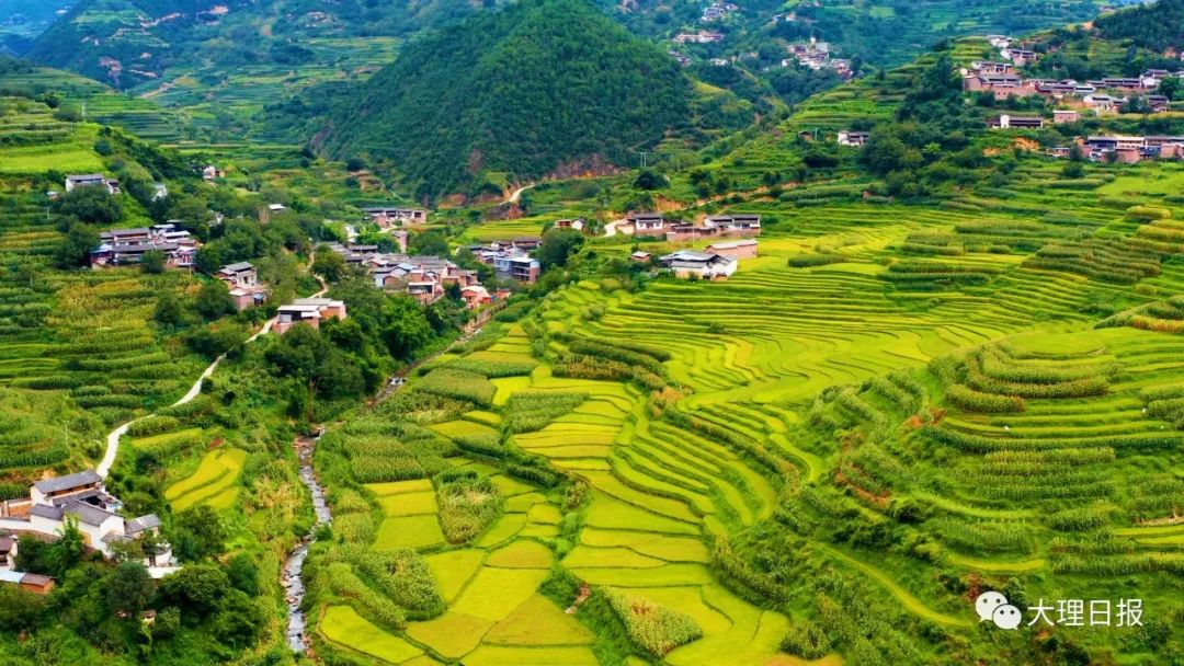 大理日报(微信)