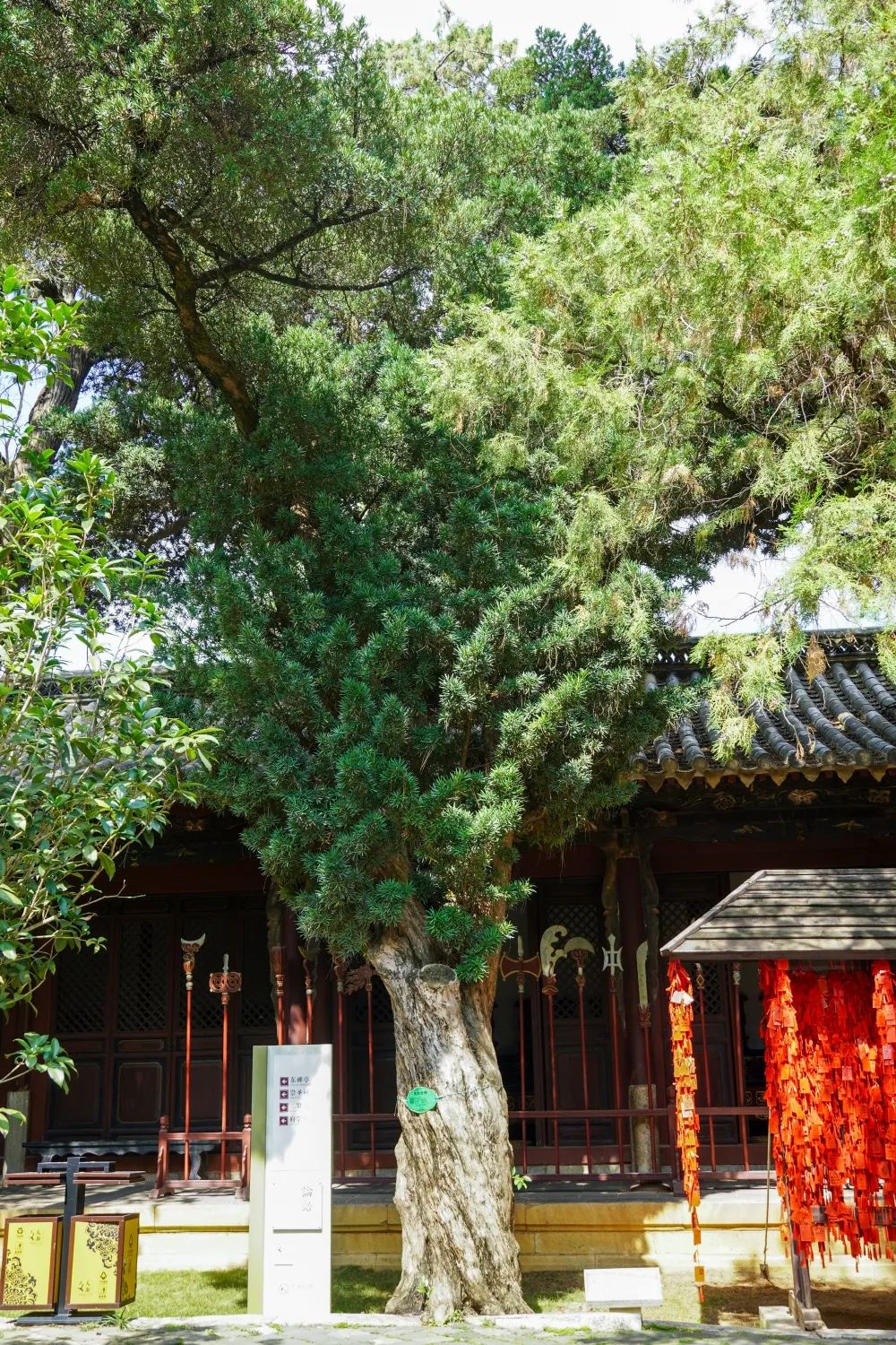 红河文旅(微信)