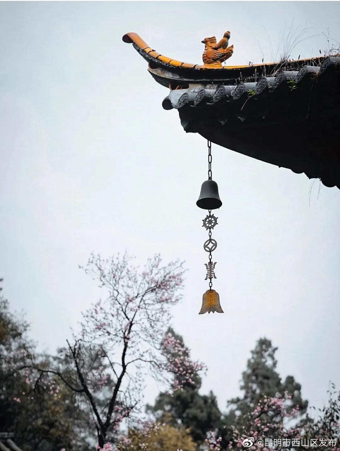 “昆明市西山区发布”微博