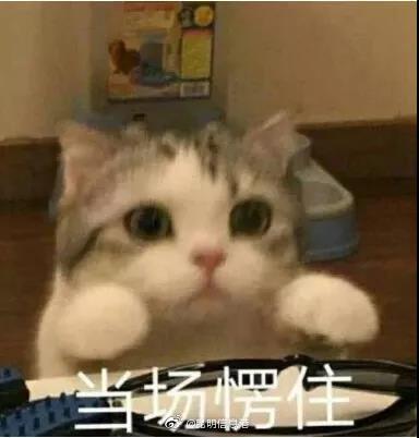 昆明信息港微博