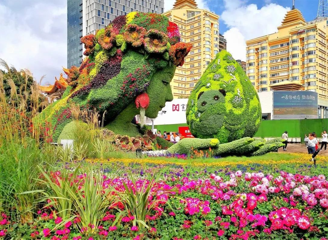 春城晚报(微信)