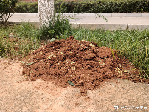 昆明晋宁发布