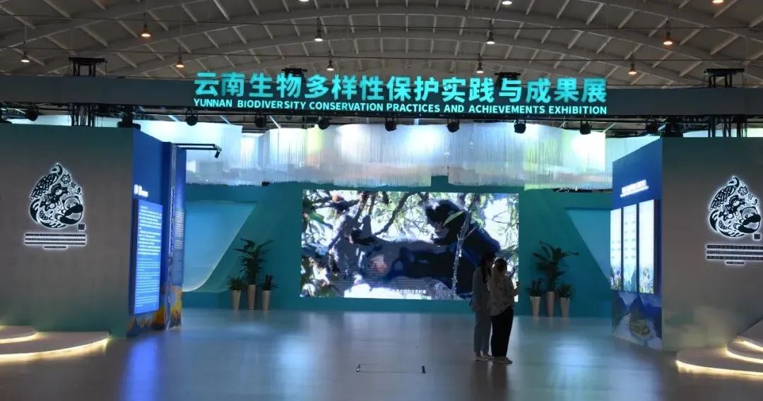 丽江日报(微信)